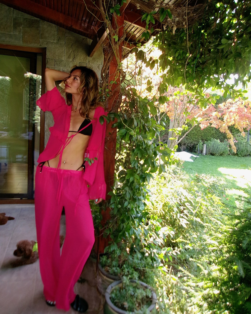 social post by dotto.nyc